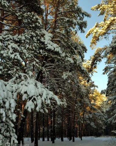 городской округ Ревда, Ревда фото