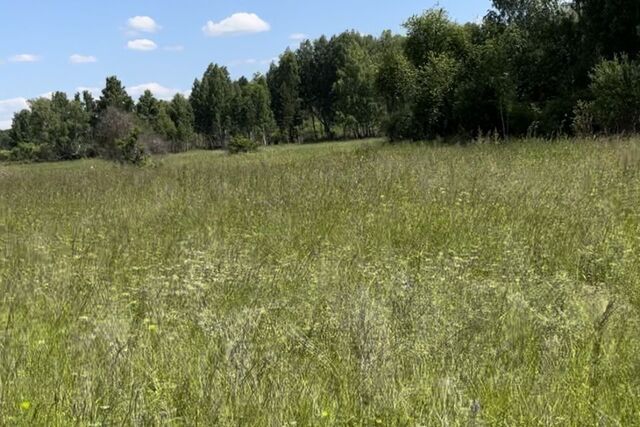 городской округ Сосновоборск, микрорайон 12А фото