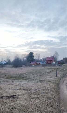 земля с Каспля-2 пер Смоленский 7 Касплянское сельское поселение, Голынки фото