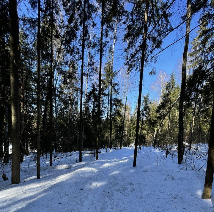 земля городской округ Ступино с Мышенское ТСН фото 2