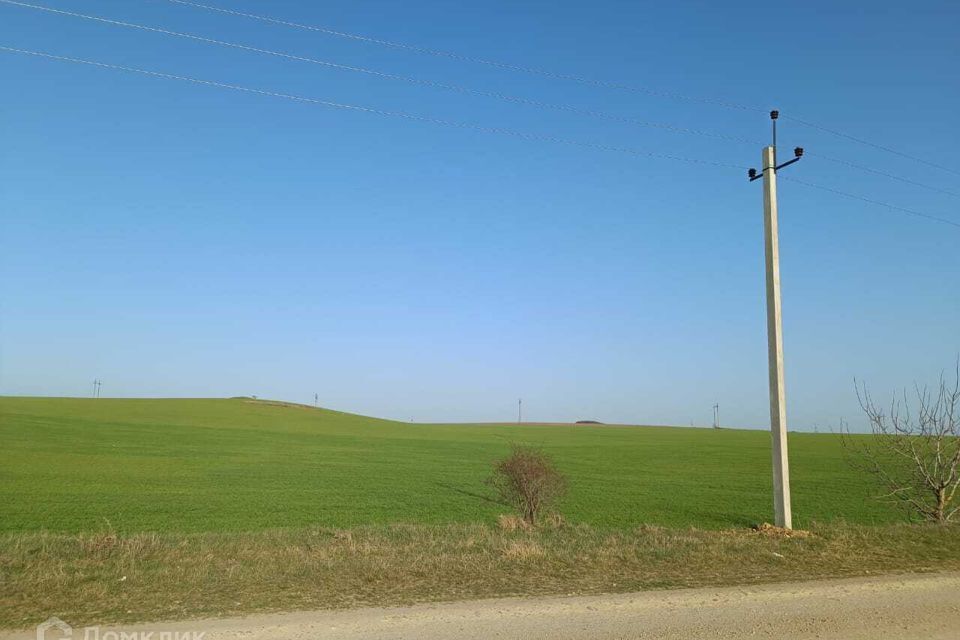 земля р-н Симферопольский с Мазанка ул Садовая 193 фото 6