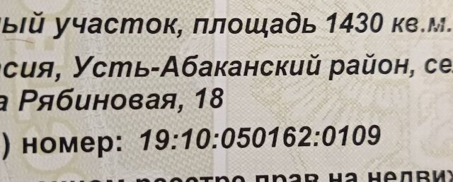 ул Рябиновая 20 садоводческое некоммерческое товарищест<текст-удален>олёк, Усть-Абакан фото