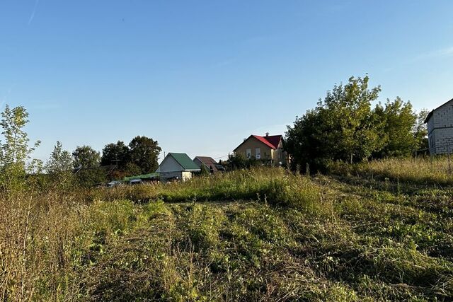 земля деревня Базарово фото