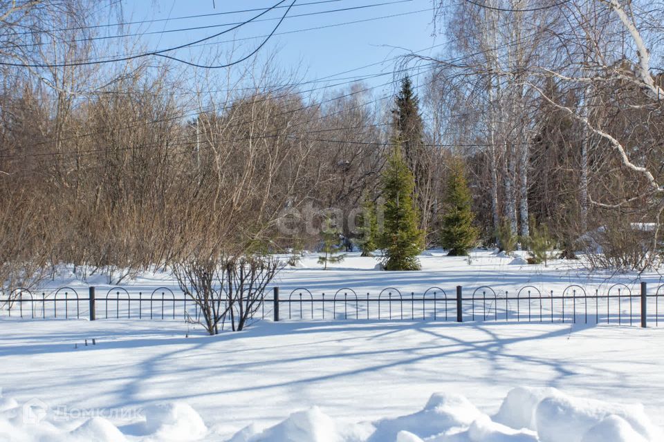 земля р-н Тобольский село Карачино фото 4