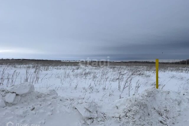 земля село Благословенка фото