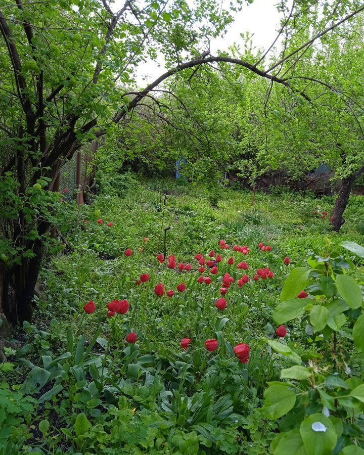 земля г Железноводск садовые участки Заря фото 2