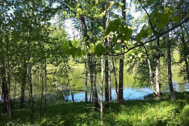 Советский район, городской округ Новосибирск фото