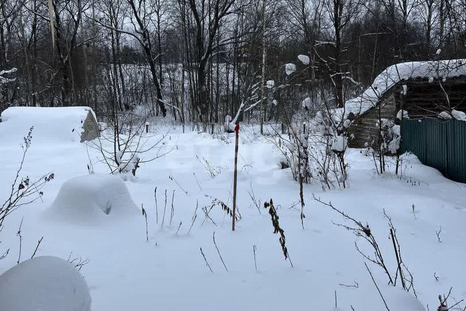 земля р-н Костромской посёлок Никольское фото 3