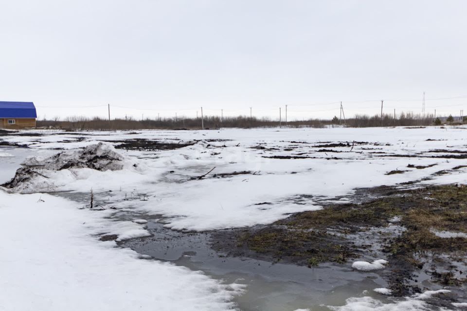 земля г Ялуторовск ул Жигайло городской округ Ялуторовск фото 3