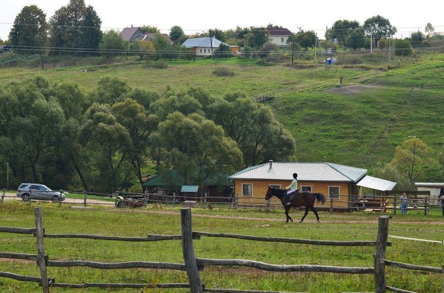 земля р-н Заокский деревня Скрипово фото 2