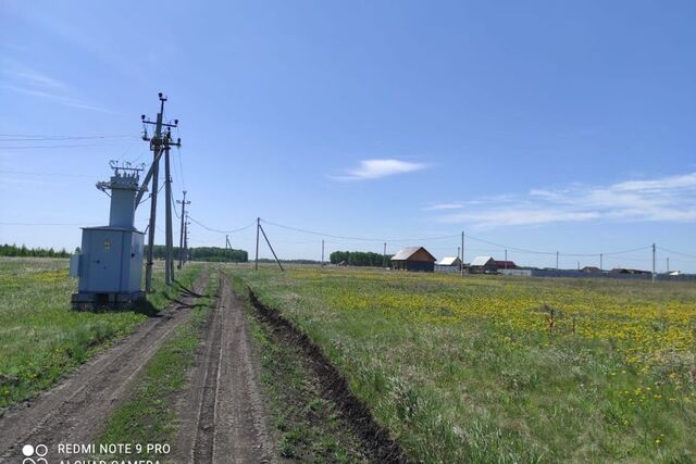 городской округ Омск, территория СОСН Урожай фото