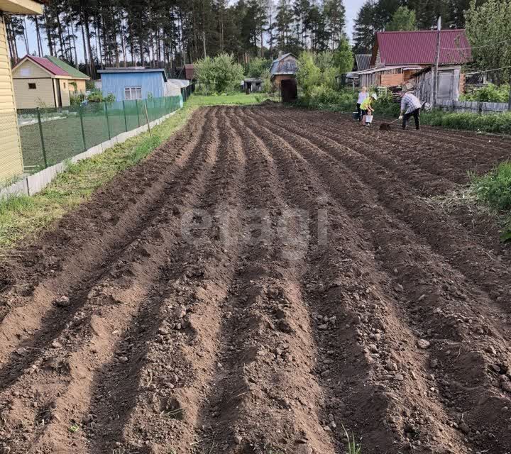 земля г Березовский сад тер коллективныйN80 Находка Берёзовский городской округ, 7 фото 6