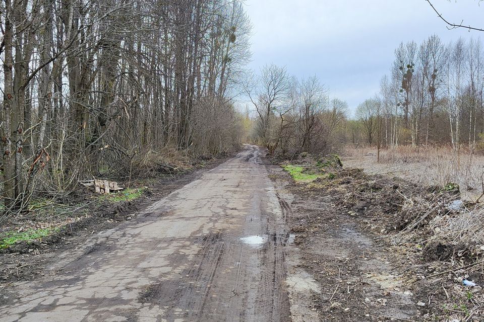 земля г Калининград городской округ Калининград, Московский район фото 7