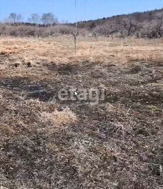 земля р-н Корсаковский фото 5