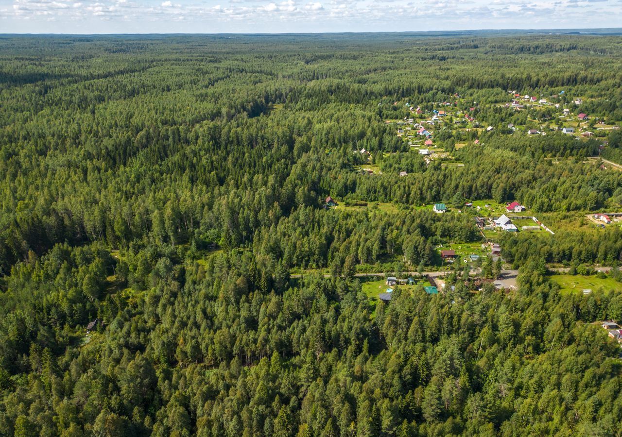 земля р-н Прионежский снт Онежец-4 Деревянское сельское поселение, Петрозаводск фото 22