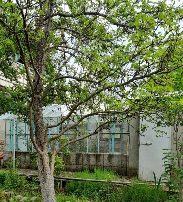 дом с пос, Симферопольский район, Добровское, Строитель садовое товарищество фото 2