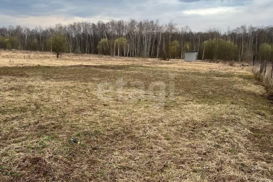 земля городской округ Чехов деревня Дмитровка фото 3