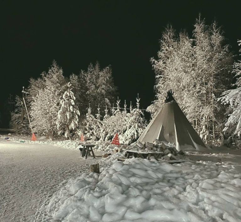 дом р-н Пряжинский д Нижняя Салма ул Заречная 9 Эссойльское с/пос фото 6