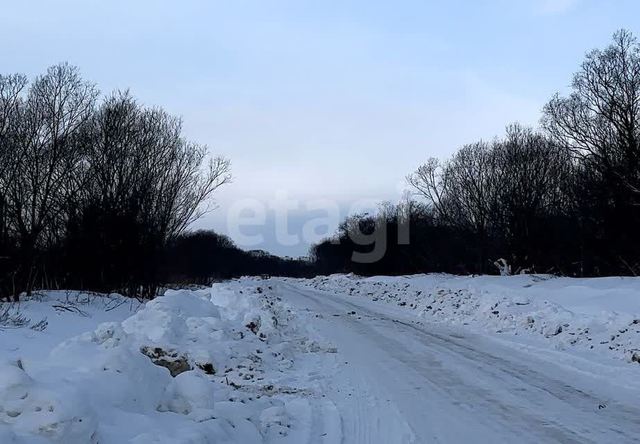 земля р-н Анивский село Троицкое фото 1