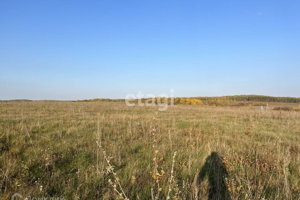 земля р-н Агрызский Девятернинское сельское поселение фото 3