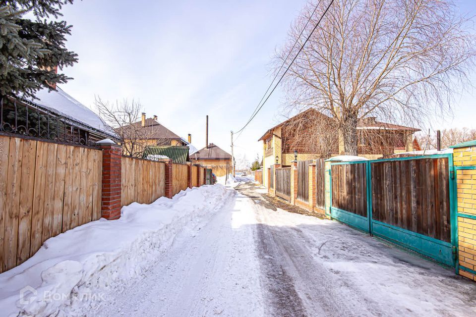 земля р-н Новосибирский снт Облепиха Западная улица, 42 фото 1