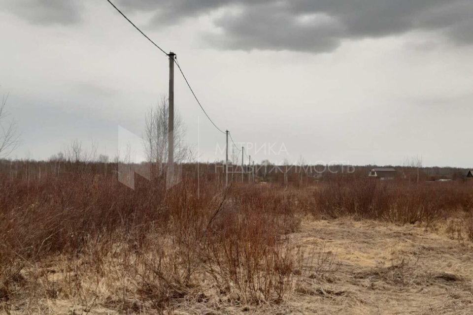 земля г Тюмень городской округ Тюмень, ДНТСН Зелёный Бор фото 6