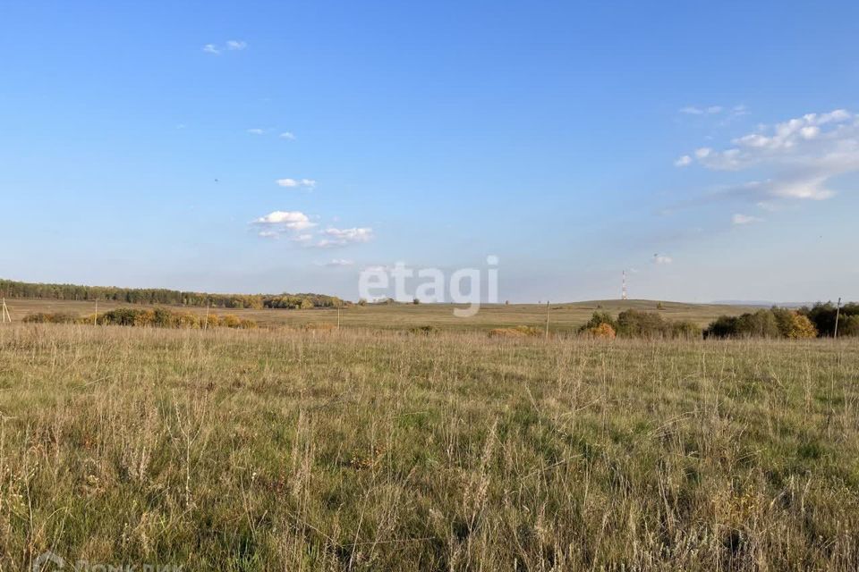 земля р-н Агрызский Девятернинское сельское поселение фото 9