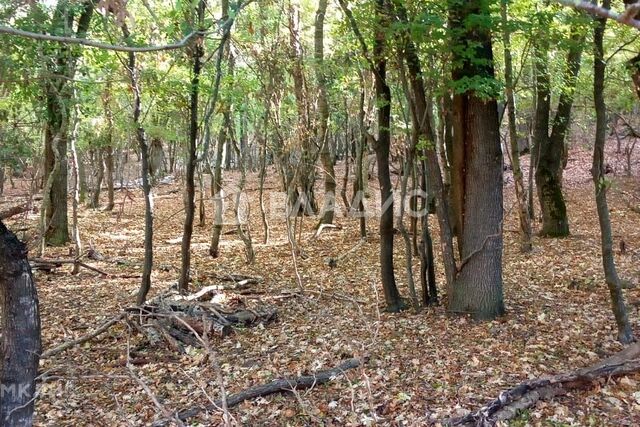 с Широкая Балка ул Заречная муниципальное образование Новороссийск фото