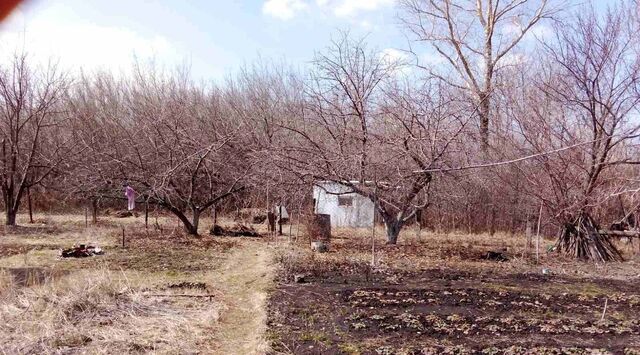 п Падовка р-н Кировский фото