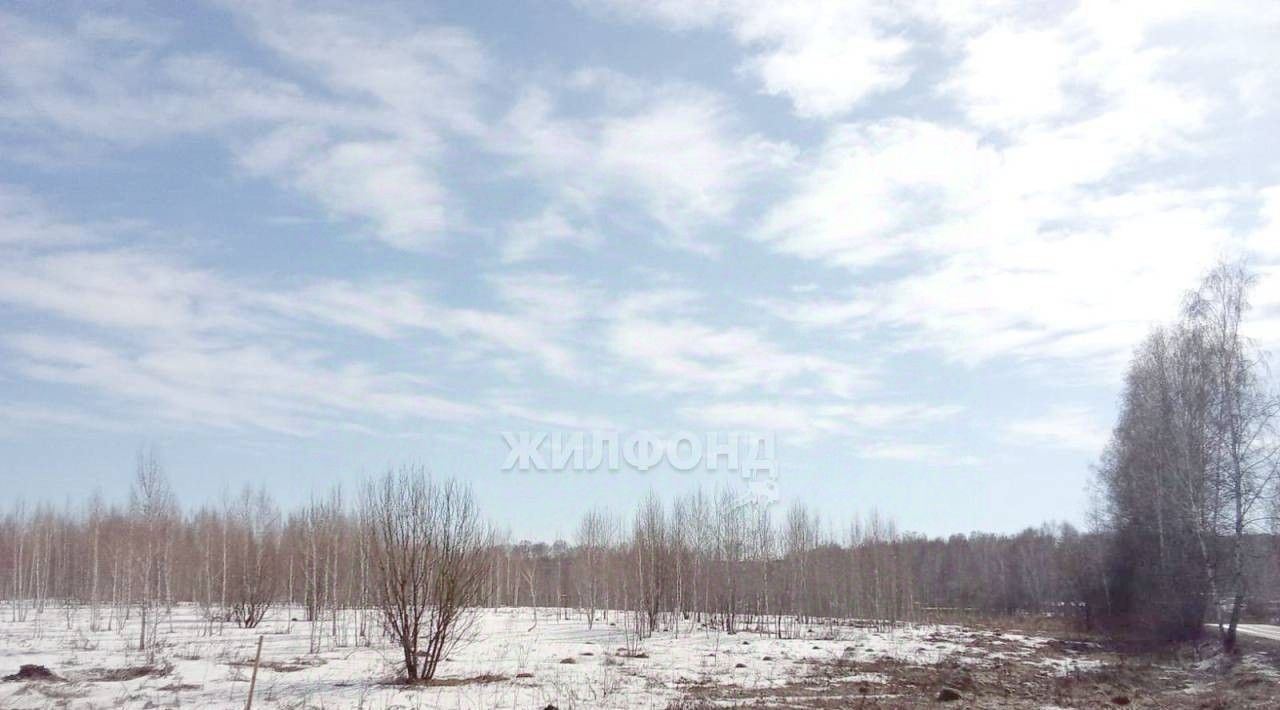 земля р-н Новосибирский Барышевский сельсовет, Усадьбы Кольцово клп фото 2