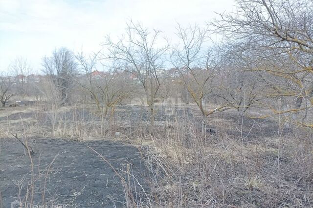 городской округ Саранск, СНТ Озёрное фото