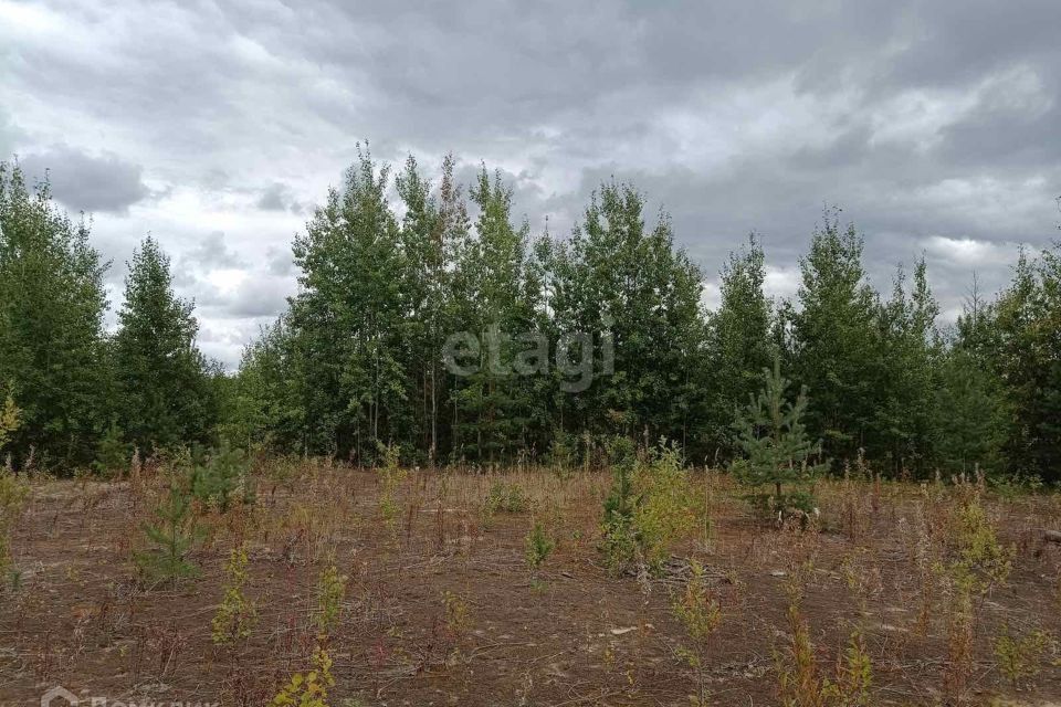 земля г Ханты-Мансийск садово-огородническое товарищество Учитель-3, городской округ Ханты-Мансийск фото 7