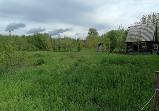 Старосахчинское сельское поселение, Димитровград фото