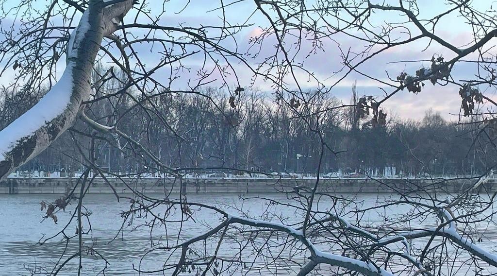 земля р-н Тахтамукайский аул Новая Адыгея снт Водхозовец ул Пионовая 2 Старобжегокайское с/пос, дачное товарищество фото 7