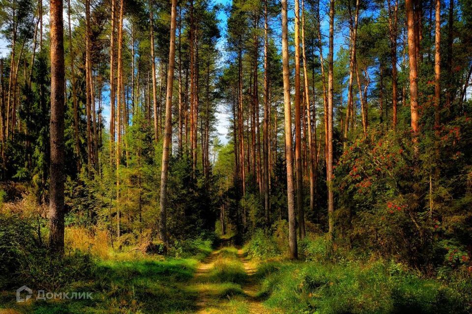 земля городской округ Богородский г Электроугли Электроуглинская улица фото 9