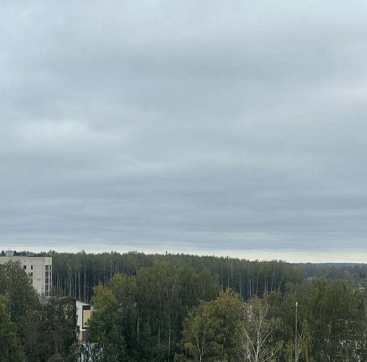 квартира г Кострома мкр Давыдовский-3 9 фото 12