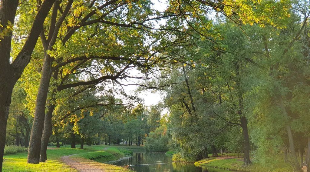 квартира г Санкт-Петербург метро Фрунзенская ул Заозёрная 3 фото 2