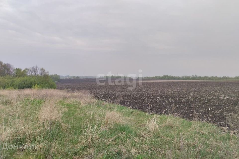 земля р-н Белгородский посёлок Дубовое фото 8