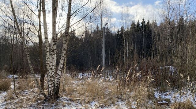 Европейская долина-2 ДНП, пер. 3-й Двинский фото