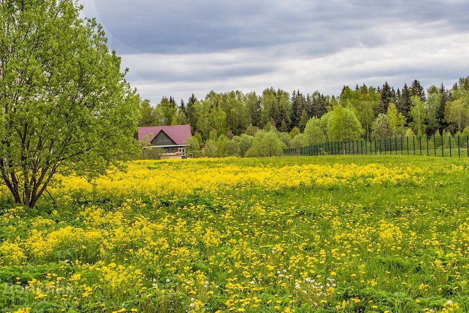 земля городской округ Истра коттеджный посёлок Тюльпаново-2, 244 фото 10