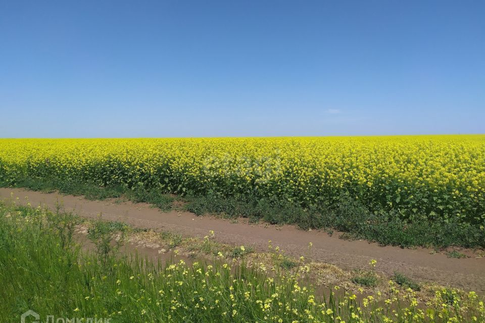 земля городской округ Саки, Саки фото 1