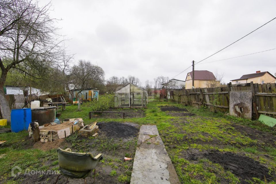 земля г Калининград городской округ Калининград, СНТ Янтарь фото 7