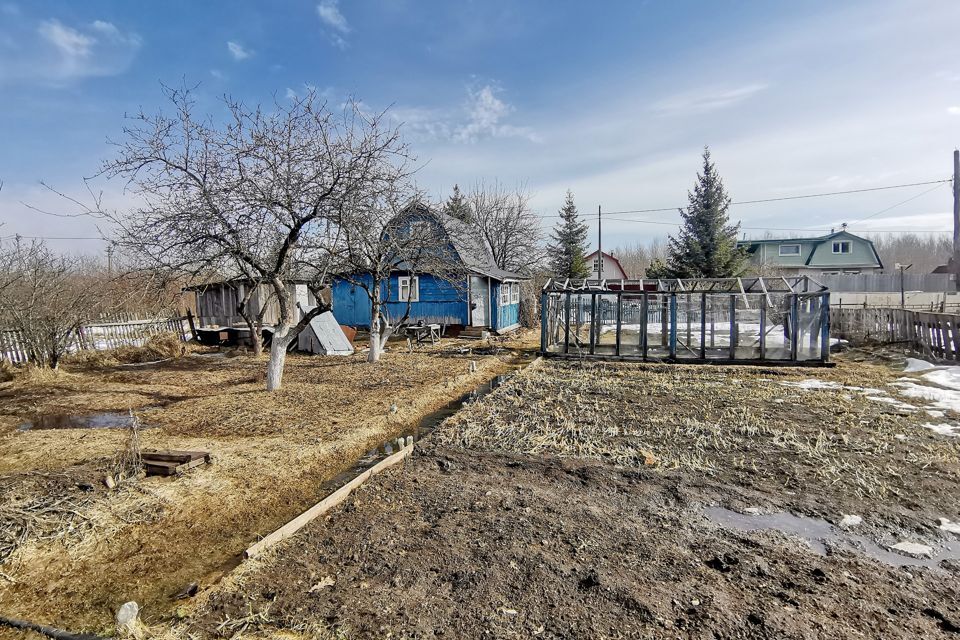 дом р-н Новгородский садоводческий массив № 5, садоводческое товарищество Маяк фото 1