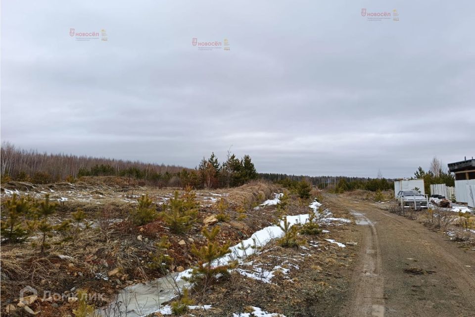 земля г Верхняя Пышма снт Сосновское городской округ Верхняя Пышма, 100 фото 4