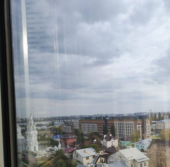 квартира г Воронеж р-н Центральный ул Сакко и Ванцетти 82 фото 5