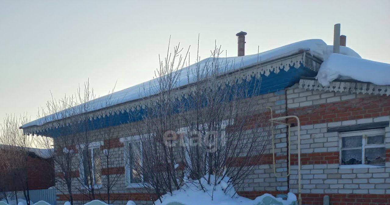 дом р-н Викуловский с Викулово ул Гагарина фото 1