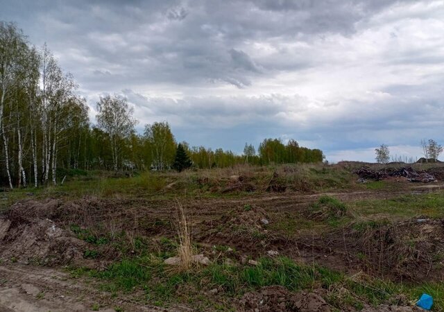 Строевское сельское поселение, Путятино фото