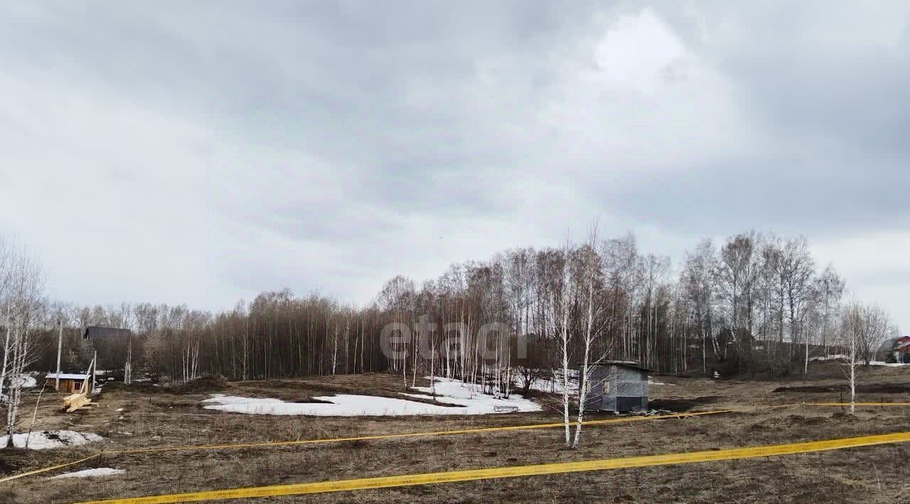 земля р-н Новосибирский с Раздольное ул Приозерная фото 1