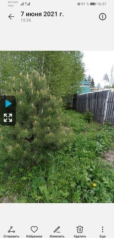 земля Ушаковское муниципальное образование, сад, Иркутск фото