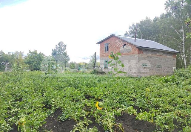 Камышловское сельское поселение, Любинский р-н, Лузино фото